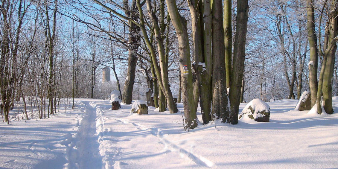 Foto Fuchsturm im Winter